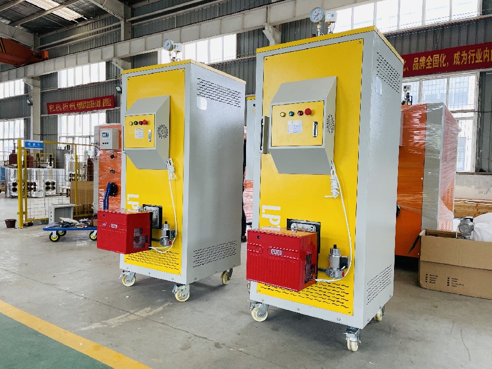 在選擇蒸汽發生器時，除了燃料，還有哪些需要考慮的因素？